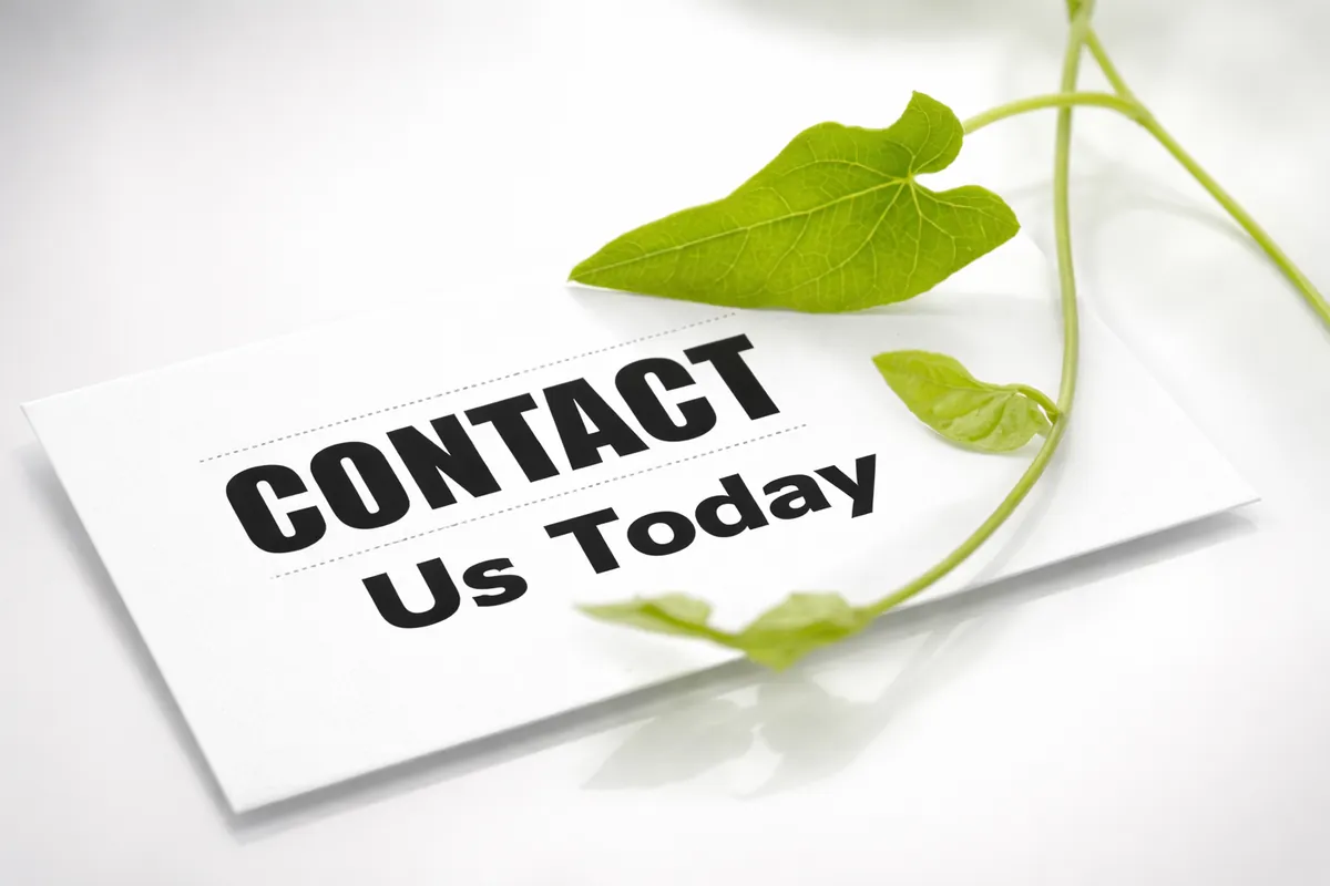 Tree service equipment and outdoor cleanup work
