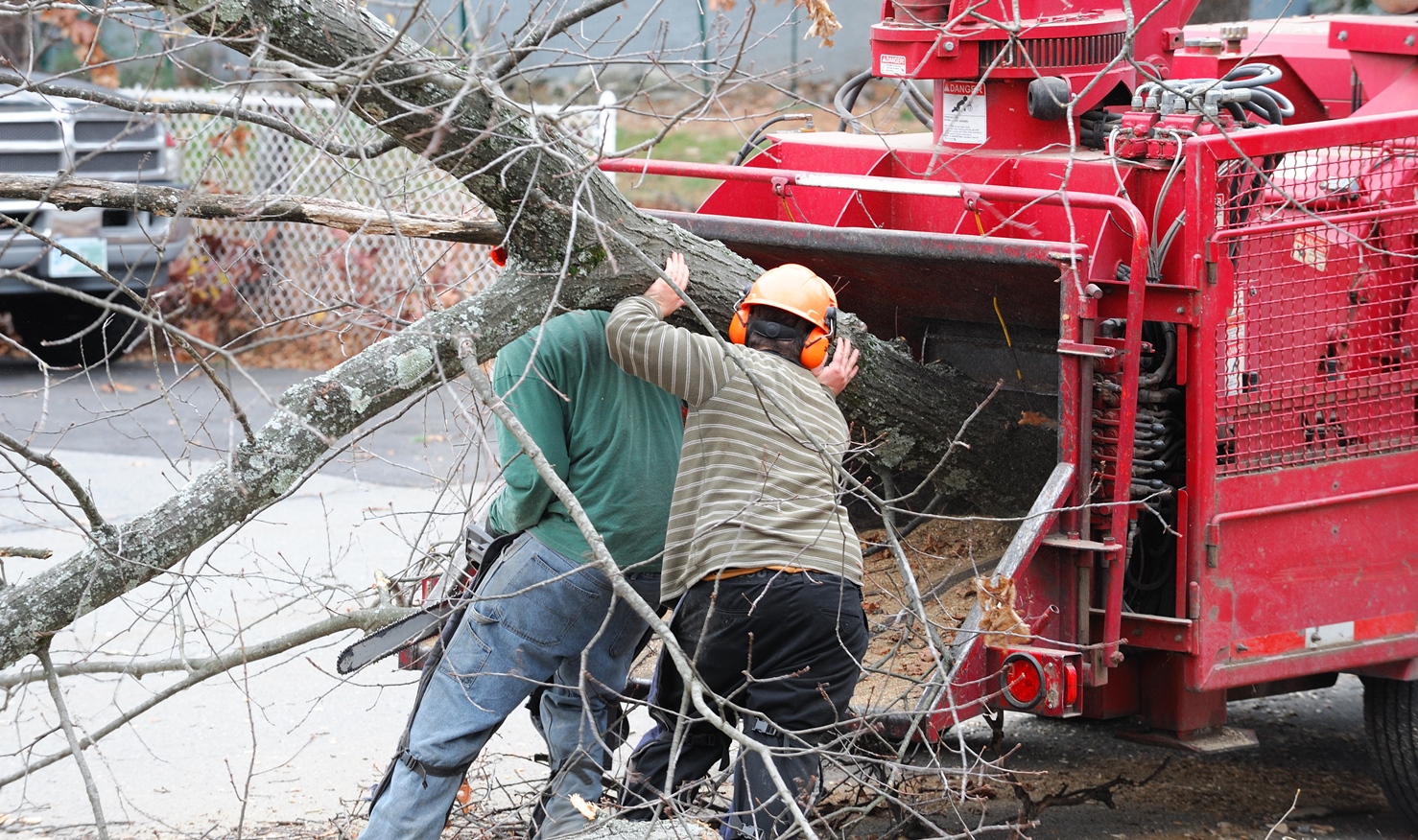 Tree trimming and branch removal work near a property